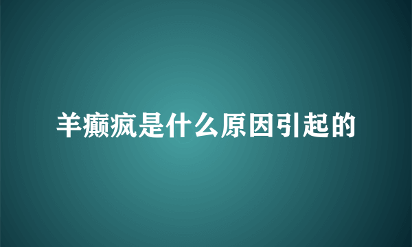 羊癫疯是什么原因引起的