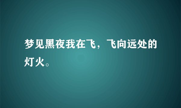 梦见黑夜我在飞，飞向远处的灯火。