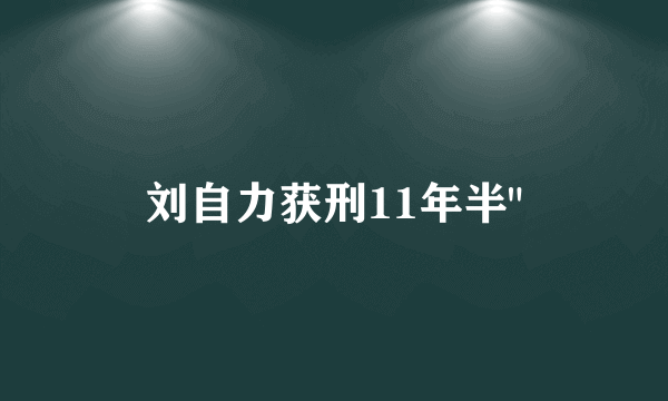 刘自力获刑11年半