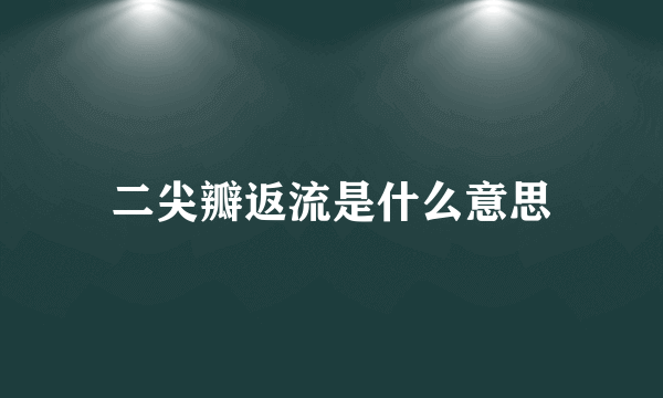 二尖瓣返流是什么意思