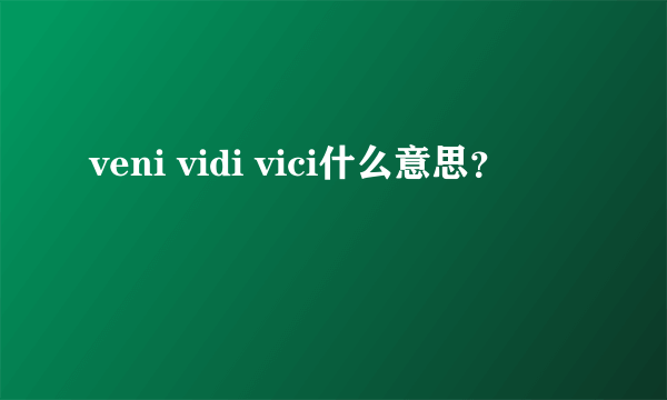 veni vidi vici什么意思？