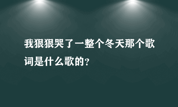 我狠狠哭了一整个冬天那个歌词是什么歌的？