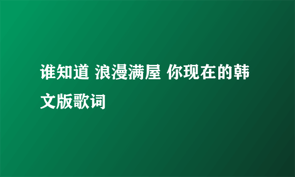 谁知道 浪漫满屋 你现在的韩文版歌词