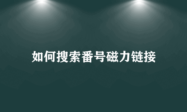 如何搜索番号磁力链接