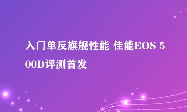 入门单反旗舰性能 佳能EOS 500D评测首发