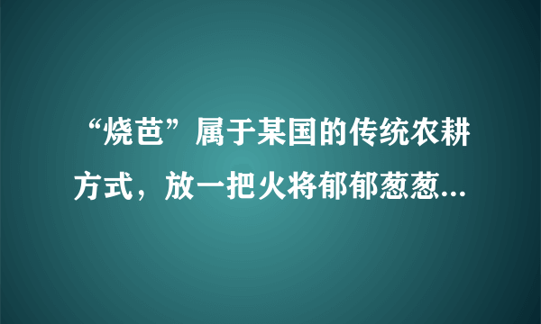 “烧芭”属于某国的传统农耕方式，放一把火将郁郁葱葱的热带雨林烧成“空地”，长达数月的林火引发烟霾，严重影响本国和邻国的空气质量。有关叙述错误的是（　　）A.“烧芭”后将发生群落的初生演替B.“烧芭”说明人类活动能改变群落演替的方向C.“烧芭”可加速生态系统物质循环的速度D.“烧芭”对空气质量的影响说明许多生态问题具有全球性