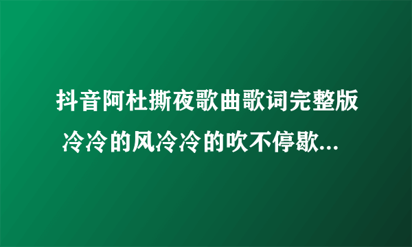 抖音阿杜撕夜歌曲歌词完整版 冷冷的风冷冷的吹不停歇是什么歌