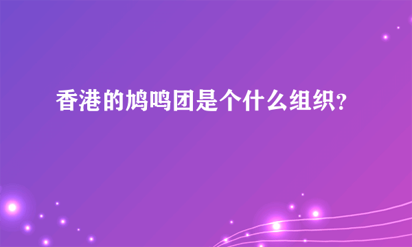 香港的鸠鸣团是个什么组织？