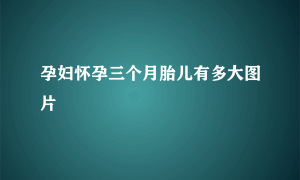 孕妇怀孕三个月胎儿有多大图片