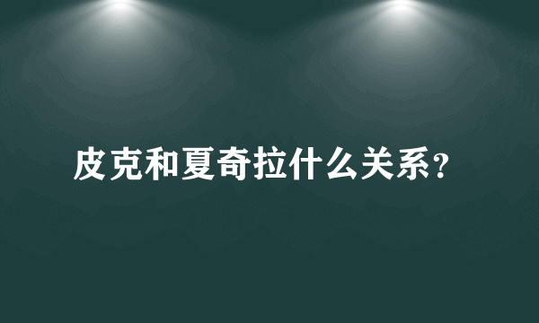 皮克和夏奇拉什么关系？