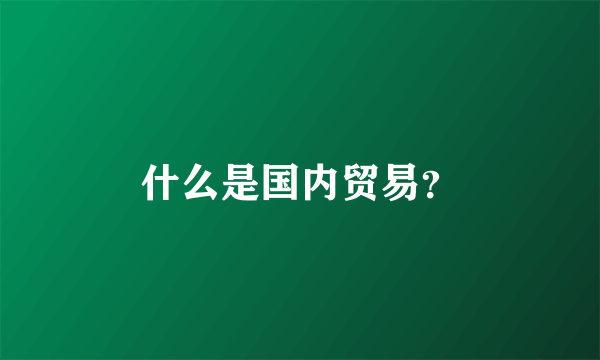 什么是国内贸易？