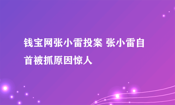 钱宝网张小雷投案 张小雷自首被抓原因惊人