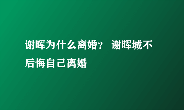 谢晖为什么离婚？ 谢晖城不后悔自己离婚