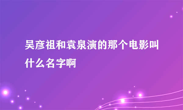 吴彦祖和袁泉演的那个电影叫什么名字啊