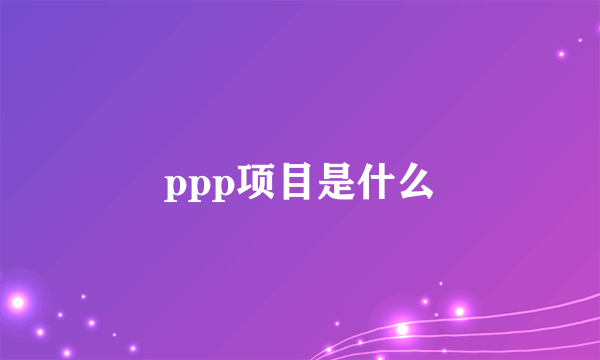 ppp项目是什么