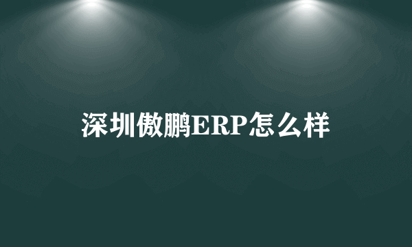 深圳傲鹏ERP怎么样