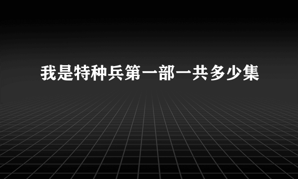 我是特种兵第一部一共多少集