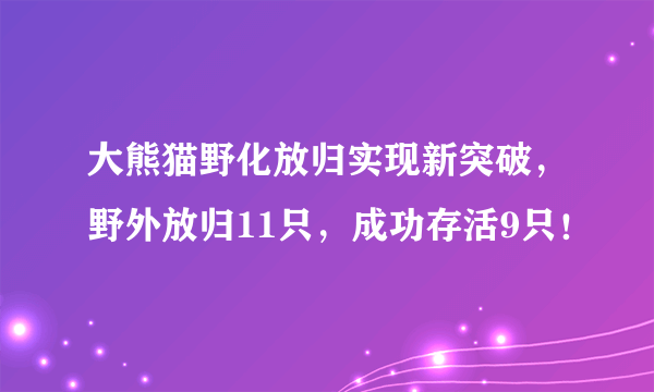 大熊猫野化放归实现新突破，野外放归11只，成功存活9只！