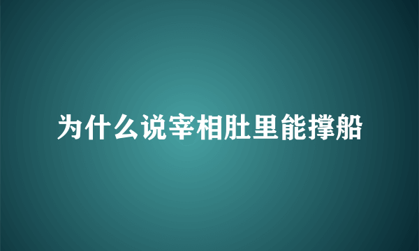 为什么说宰相肚里能撑船