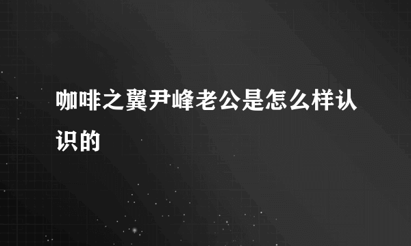 咖啡之翼尹峰老公是怎么样认识的