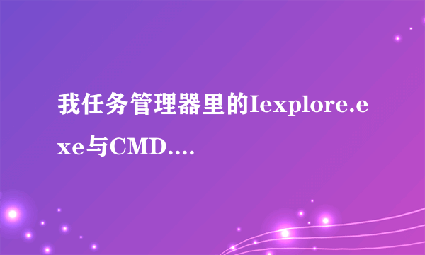 我任务管理器里的Iexplore.exe与CMD.EXE是什么意思?