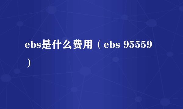 ebs是什么费用（ebs 95559）