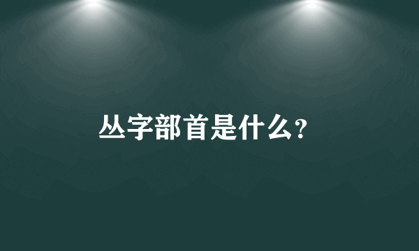 丛字部首是什么？