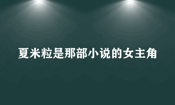 夏米粒是那部小说的女主角