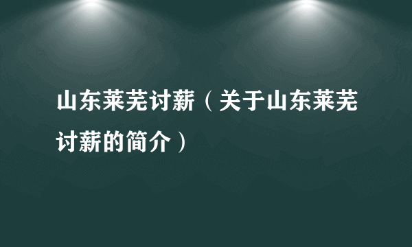 山东莱芜讨薪（关于山东莱芜讨薪的简介）