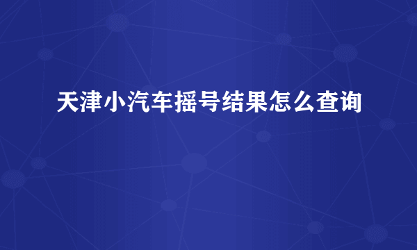 天津小汽车摇号结果怎么查询