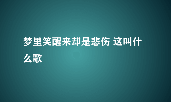 梦里笑醒来却是悲伤 这叫什么歌