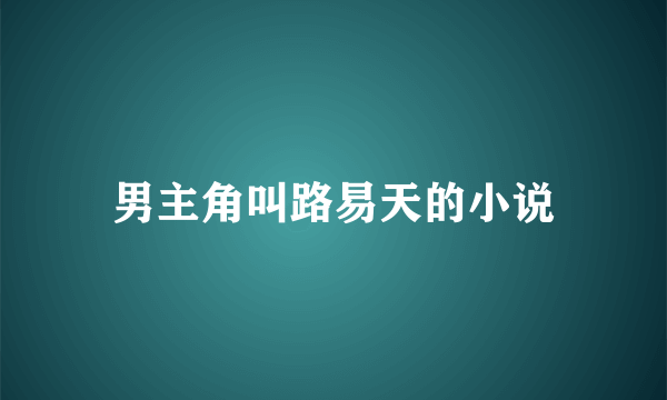 男主角叫路易天的小说