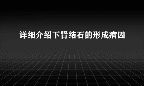 详细介绍下肾结石的形成病因