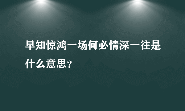 早知惊鸿一场何必情深一往是什么意思？