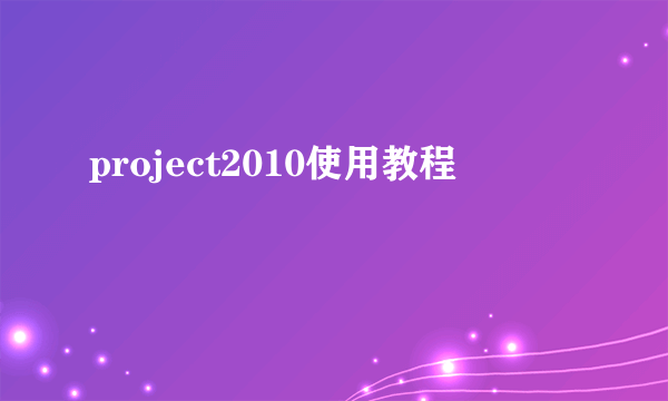 project2010使用教程