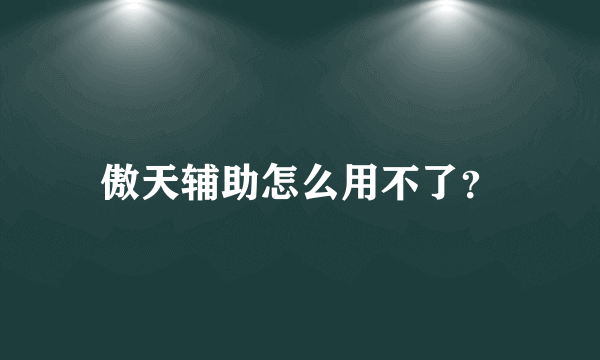 傲天辅助怎么用不了？