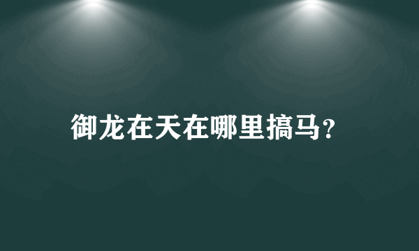 御龙在天在哪里搞马？