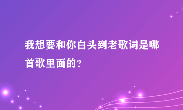 我想要和你白头到老歌词是哪首歌里面的？