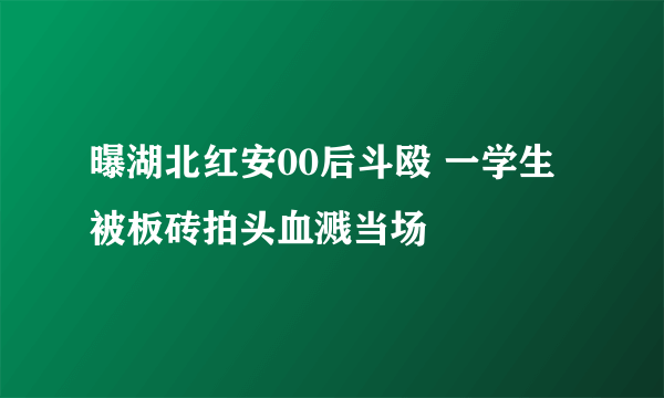 曝湖北红安00后斗殴 一学生被板砖拍头血溅当场