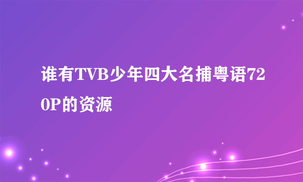 谁有TVB少年四大名捕粤语720P的资源