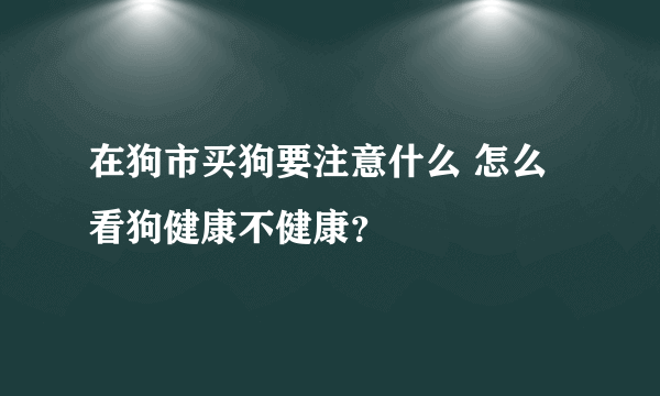 在狗市买狗要注意什么 怎么看狗健康不健康？