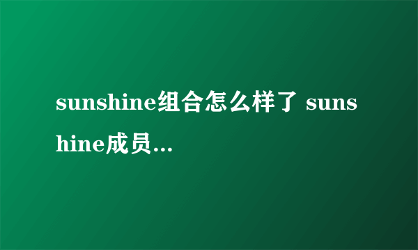 sunshine组合怎么样了 sunshine成员为何开撕-飞外