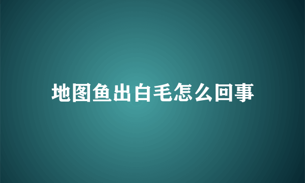 地图鱼出白毛怎么回事