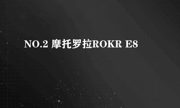 NO.2 摩托罗拉ROKR E8