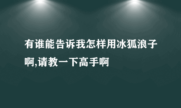 有谁能告诉我怎样用冰狐浪子啊,请教一下高手啊