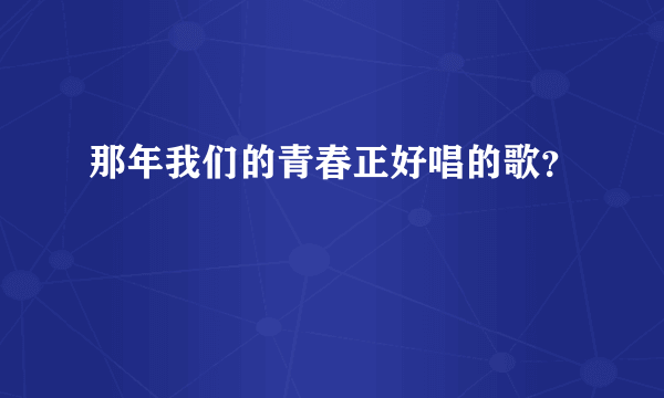 那年我们的青春正好唱的歌？