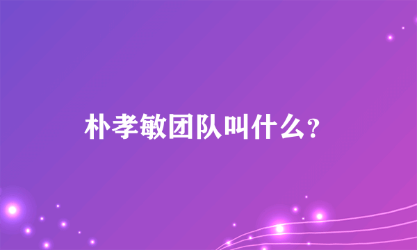 朴孝敏团队叫什么？