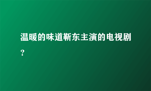 温暖的味道靳东主演的电视剧？