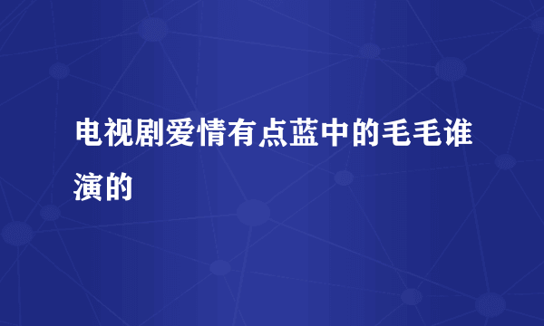 电视剧爱情有点蓝中的毛毛谁演的