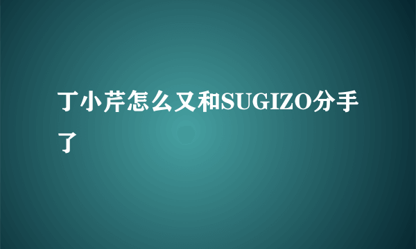 丁小芹怎么又和SUGIZO分手了